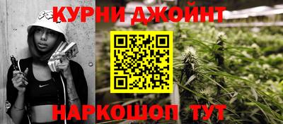 дживик Можга