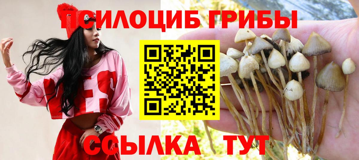 Галлюциногенные грибы мухоморы  где купить наркоту  Вичуга  Вход с VPN  Псилоцибиновые грибы MAGIC MUSHROOMS 